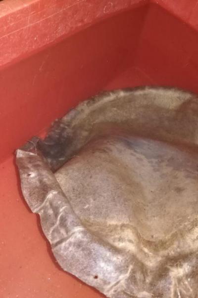 Laboratorio Costruzione Tamburo Sciamanico 12 04 2018 22